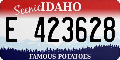 ID license plate E423628