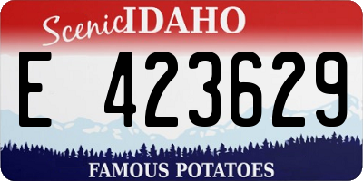 ID license plate E423629