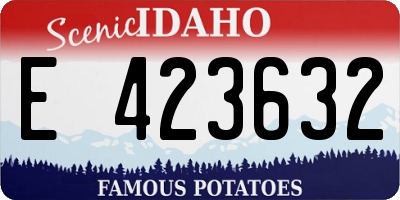 ID license plate E423632