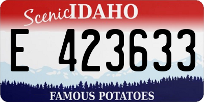 ID license plate E423633