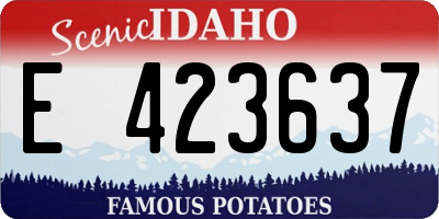 ID license plate E423637