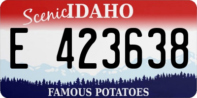 ID license plate E423638