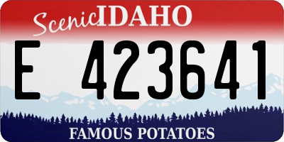 ID license plate E423641