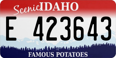 ID license plate E423643