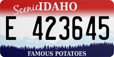 ID license plate E423645