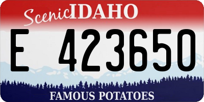 ID license plate E423650