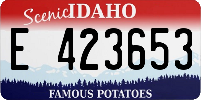 ID license plate E423653