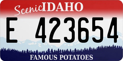 ID license plate E423654