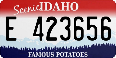 ID license plate E423656