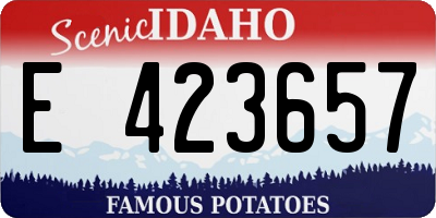 ID license plate E423657