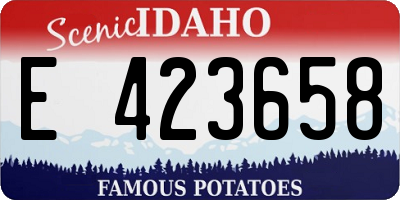 ID license plate E423658