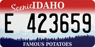 ID license plate E423659