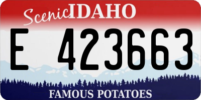 ID license plate E423663