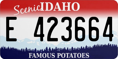 ID license plate E423664
