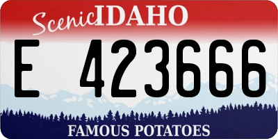 ID license plate E423666