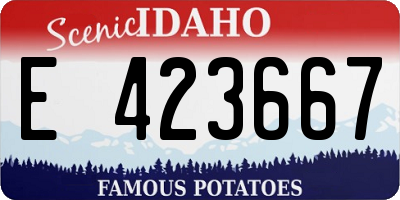 ID license plate E423667