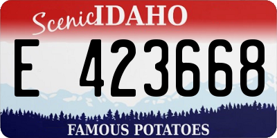 ID license plate E423668