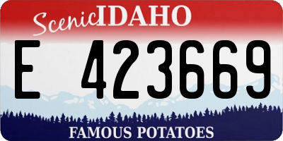 ID license plate E423669