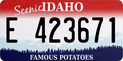 ID license plate E423671
