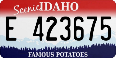 ID license plate E423675