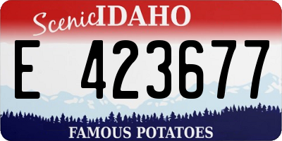 ID license plate E423677