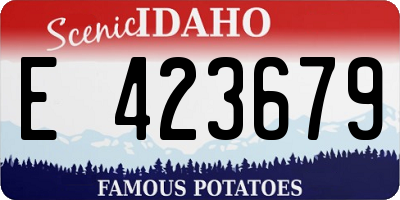 ID license plate E423679