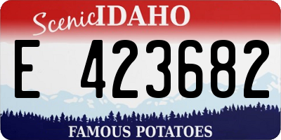 ID license plate E423682