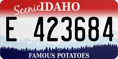 ID license plate E423684