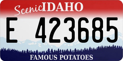ID license plate E423685