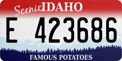 ID license plate E423686