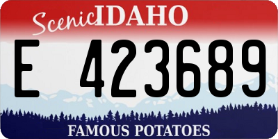 ID license plate E423689