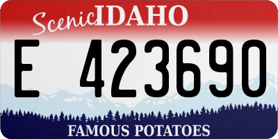 ID license plate E423690