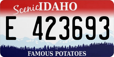 ID license plate E423693