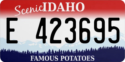 ID license plate E423695