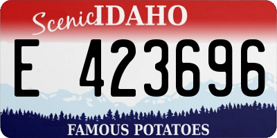 ID license plate E423696