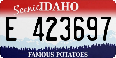 ID license plate E423697