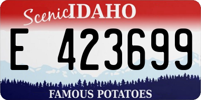 ID license plate E423699