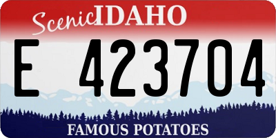 ID license plate E423704