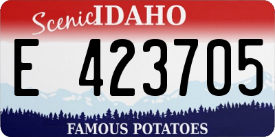 ID license plate E423705