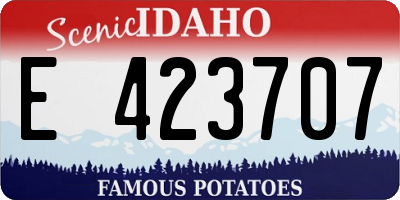 ID license plate E423707