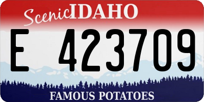 ID license plate E423709