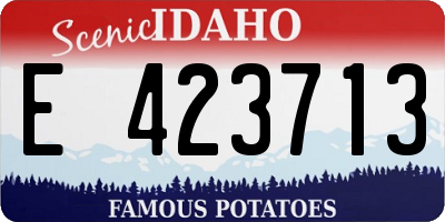 ID license plate E423713