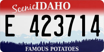 ID license plate E423714