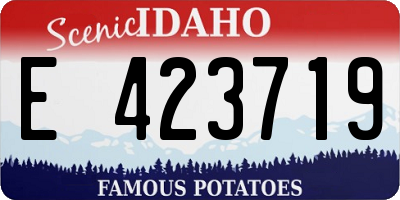 ID license plate E423719