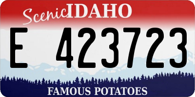 ID license plate E423723