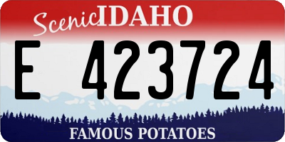 ID license plate E423724