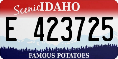 ID license plate E423725