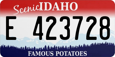 ID license plate E423728