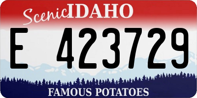 ID license plate E423729