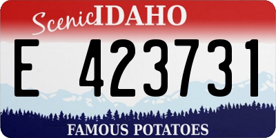 ID license plate E423731